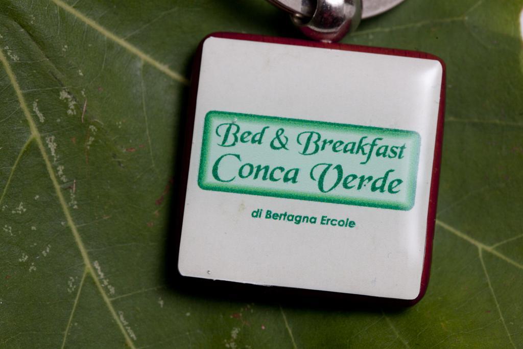 Bed & Breakfast Conca Verde Cavriana 外观 照片